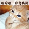 苦咖啡的头像