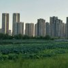 开心就好的头像