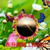 平吉随身的头像