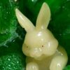 沉淀的头像