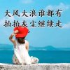 爱无悔的头像