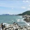 金沙问心无愧的头像