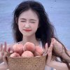 果茶er的头像