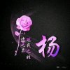♬的头像