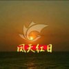 凤天红日的头像