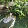 陈庆荣的头像