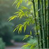 珍珍的头像