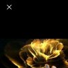 ༄༊࿆巧缘梦晨࿐的头像