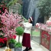 萍的头像