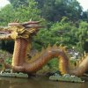 PL家族龙龙的头像