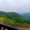 阿仙的头像