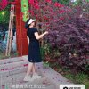 紫色迷恋的头像