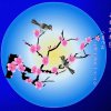 [鹰歌四季海棠】的头像