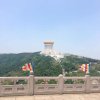 平平安安的头像