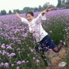 人生如梦的头像