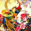 十三奶的头像