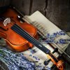 小提琴的头像