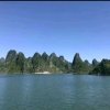 顺其自然的头像