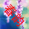 春韵依依的头像