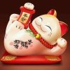 小骆的头像