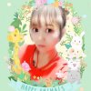 夹缝里的玫瑰的头像
