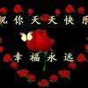 心若在，梦就在的头像