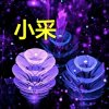 小采的头像