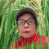 Aibao的头像