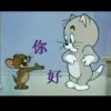 一切为何的头像