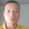 飞凤舞龙副总裁的头像