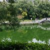 八面玲珑的头像
