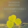 枫诚的头像