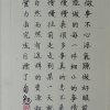 雨后彩虹的头像