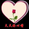 缘来今生的头像