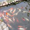 春雨的头像