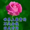 开心每一天的头像