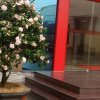 亚芬的头像