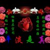 相遇无缘。的头像