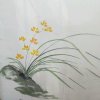 雾里探花的头像