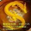 谁能入我的怀的头像