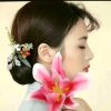 四月~蝴蝶兰《暂退》不回复的头像