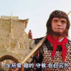 期待…（拒绝私信）！的头像