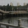 潇湘夜雨的头像