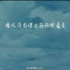 轻风（退）的头像