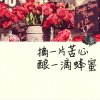 缘来是你的头像