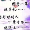 无敌的头像