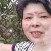 柳絮争春的头像