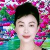 美兰的头像