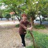 秀风的头像