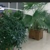 晓标幸福快乐的头像